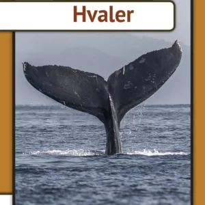 Hvaler