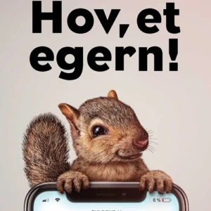 Hov, et egern