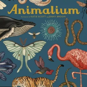 Animalium