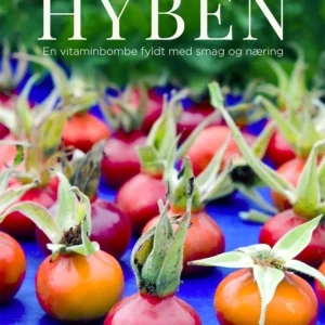 Hyben