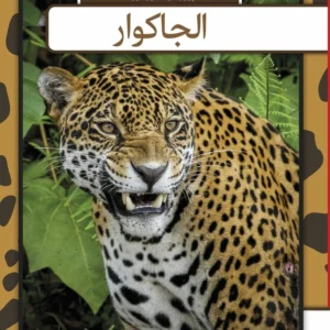 Jaguar - arabisk