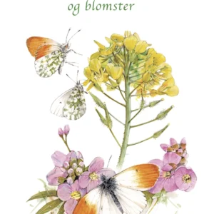 SOMMERFUGLE OG BLOMSTER