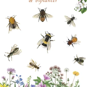 VILDE BIER OG BIPLANTER