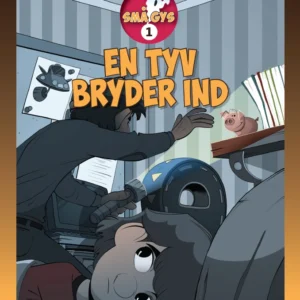 En tyv bryder ind