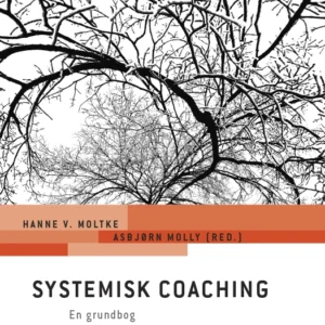 Systemisk coaching