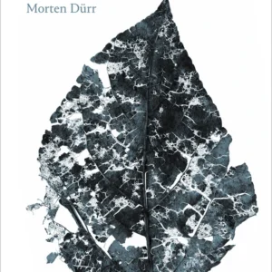 Sortesø