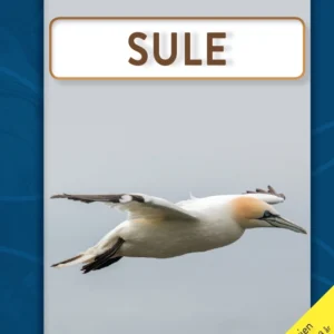 Sule