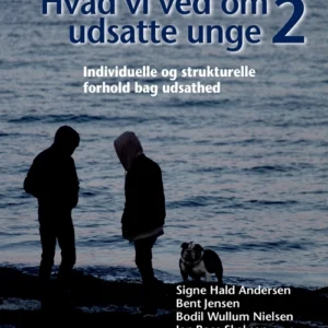 Hvad vi ved om udsatte unge 2