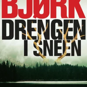 Drengen i sneen