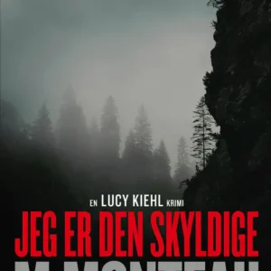 Jeg er den skyldige