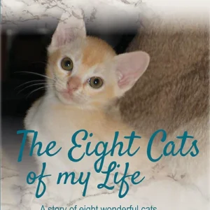 The eight cats of my life