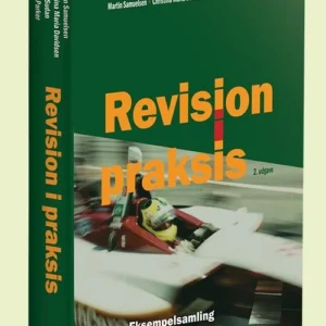 Revision i praksis - Eksempelsamling