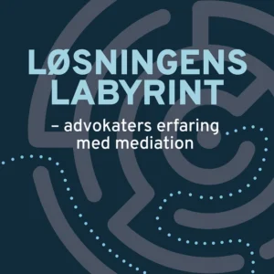 Løsningens labyrint
