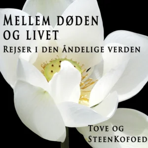 Mellem døden og livet
