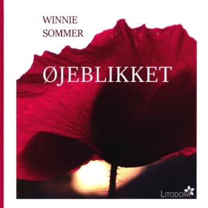 Øjeblikket