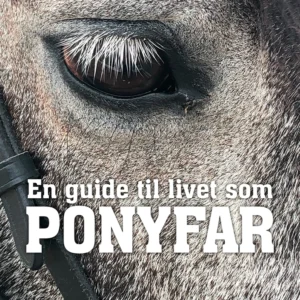 En guide til livet som PONYFAR