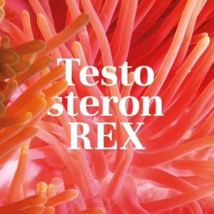 Testosteron rex