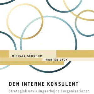 Den interne konsulent