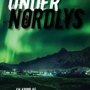 Under nordlys