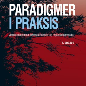 Paradigmer i praksis