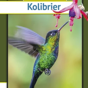Kolibrier
