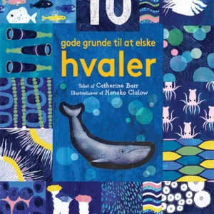 10 gode grunde til at elske hvaler