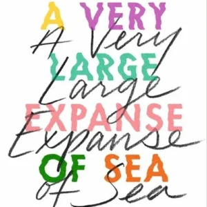 A Very Large Expanse of Sea