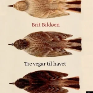 Tre vegar til havet : roman