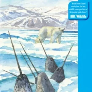 The Arctic