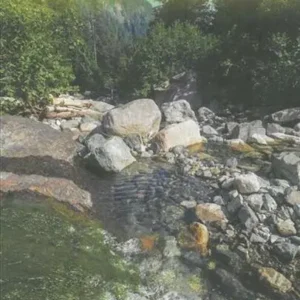 British Columbia