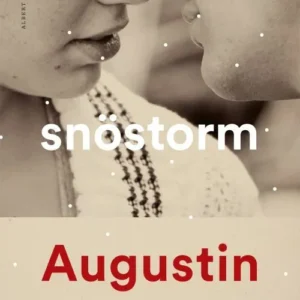 Snöstorm