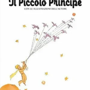 Il piccolo principe
