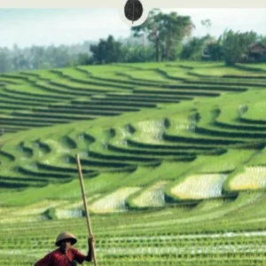 Secret Bali: An unusual guide
