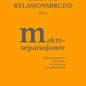 Barn og relasjonsbrudd : tilknytningsbasert forståelse, utredning og behandlingstiltak. Bd. 1 : makroseparasjoner