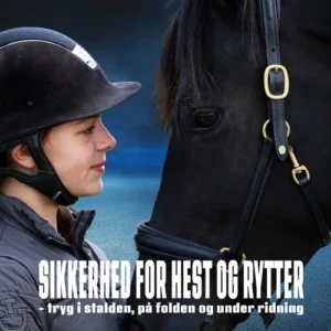 Sikkerhed for hest og rytter