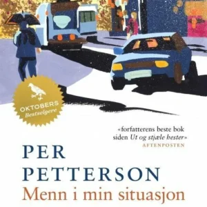 Menn i min situasjon : en roman