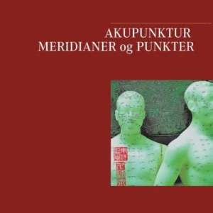 Akupunktur Meridianer og Punkter