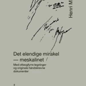 Det elendige mirakel