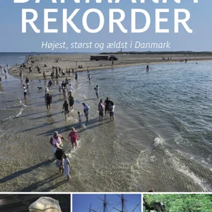 Danmark i rekorder