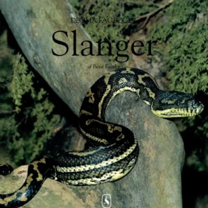 Slanger
