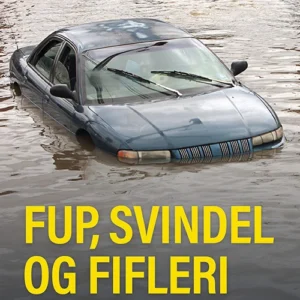 Fup, svindel og fifleri