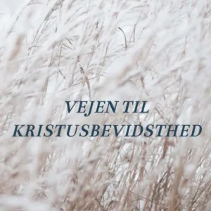 VEJEN TIL KRISTUSBEVIDSTHED