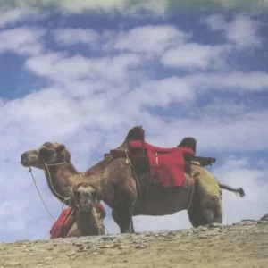 Somalia & Horn of Africa
