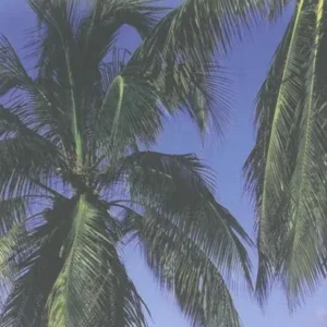 South Pacific Cruising & Samoa