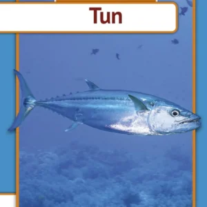 Tun