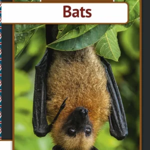 Bats