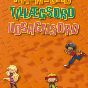 Navneord, tillægsord, udsagnsord