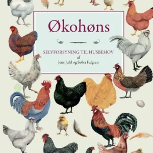 Økohøns