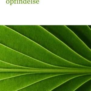 Kreativitetens opfindelse