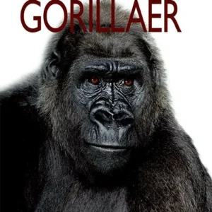 Gorillaer